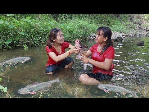 Skills Catch fish in river for food of survival, Cooking fish for dinner, Survival in forest