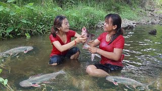 Skills Catch fish in river for food of survival, Cooking fish for dinner, Survival in forest