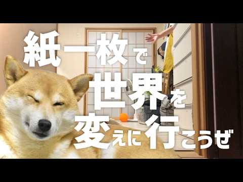 世界を変えに行きたい柴犬と体力のない成人【あるじのステップ】 サムネイル