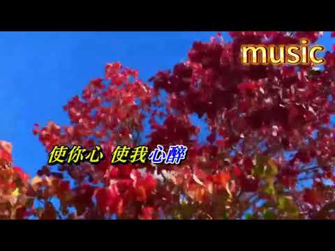 一段情 鍾鎮濤KTV 伴奏 no vocal 無人聲 music 純音樂 karaoke 卡拉OK 伴唱一段情 鍾鎮濤