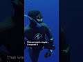 Shark Behavior and Observation Analysis
