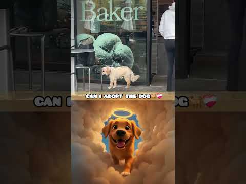 Very Sad Moment 💔(can i adopt the dog😭💔)#dog #dogshorts #shorts #shortvideo #adoptme