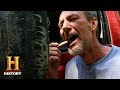 David and Levi's Logging Challenges