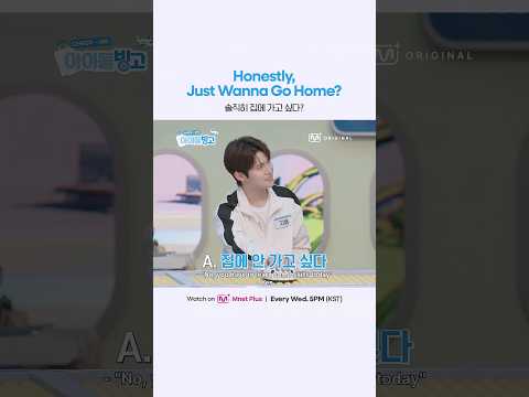 솔직히 집에 가고 싶다?