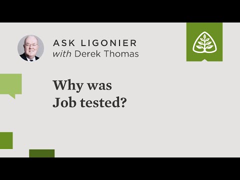 Why was Job tested?