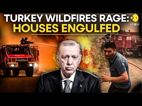 Turkey Wildfire LIVE: Helicopters Fight Flames in Izmir | Houses Engulfed | Evacuations Underway