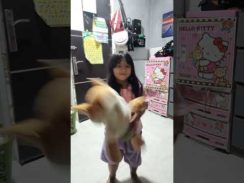 banyak semut dirumah q