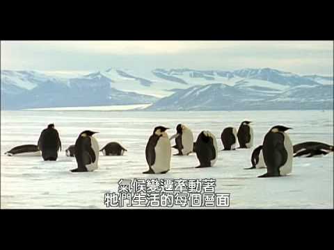 全球暖化系列【動物求生之道】：南北極 - YouTube