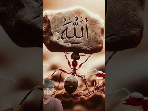 &#yenamkiskiskopasndhai##