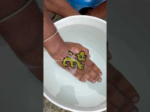 How to draw dog 🐕 with Floating Pen Amazing #shorts