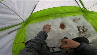 видео