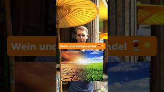 Wein und KLIMAWANDEL🍷😪 #wine #klima #klimawandel #climatechange #weinspired #bielefeld #information