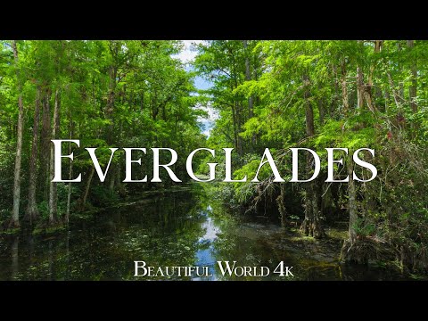Everglades 4K – A Mysterious Wetland of Silent Waters and Endless Marsh – Piano Music