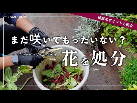 今やっておきたい園芸作業・夏の花の処分と剪定