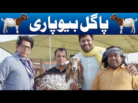 Rana Ijaz New Video 2025 | Standup Comedy By Rana Ijaz | New Video Rana Ijaz #comedymovie #funny