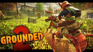The Terrible Journey for my First Buggy!