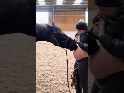 Can pets sense when their owners are pregnant? #animals #shorts