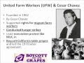 United Farm Workers Movement Overview