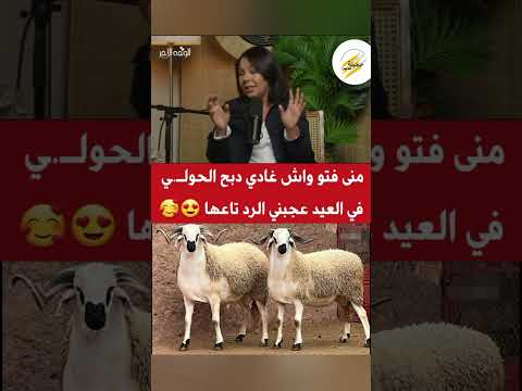 الممثلة منى فتو سولها الصحفي واش غادي دب*ح الحولي في العيد عجبني الرد تاعها سمعو أشنو قالت😍👏