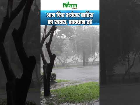 Weather Update: Rajasthan, Gujarat, Jharkhand में Heavy Rain Red Alert #shorts