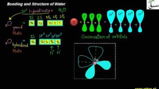 Bonding and Structure of Water