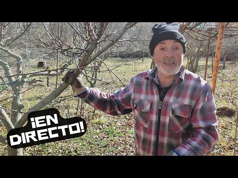 Nuestra huerta en Noviembre tras las lluvias.