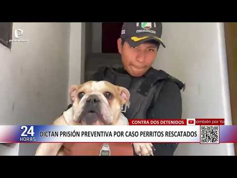 Poder Judicial dicta prisión preventiva por caso de perros maltratados en criadero de SJM