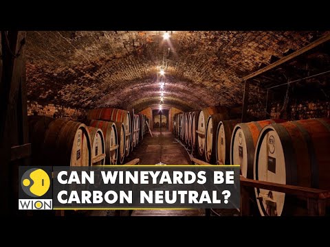 Australia: Tahbilk winery aims at becoming carbon neutral by 2025 | Latest World News | WION