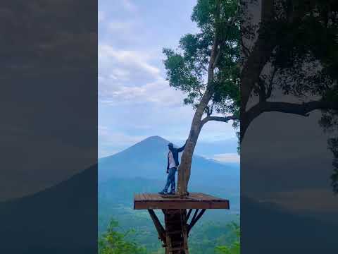 Millions dollars views 😍  #viral #trending #trendingshorts
