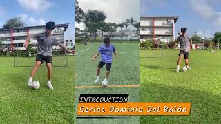 Skill 2   Empeine De Pinguino Instep Penguin