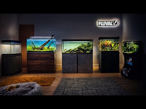 My new aquascaping studio is finally ready (4K)