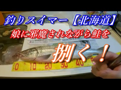 【捌く】初物サケを娘に邪魔されながら捌く！！