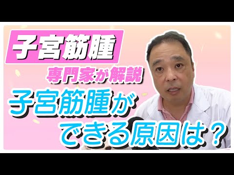 【子宮筋腫】知っておくと便利！子宮筋腫治療の原因についての一つの見解【専門家】