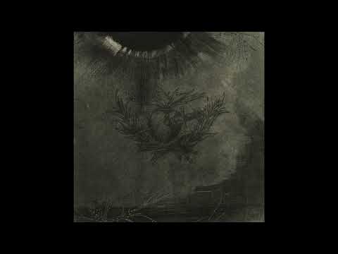 Tiger Eyes - Guilty Heart