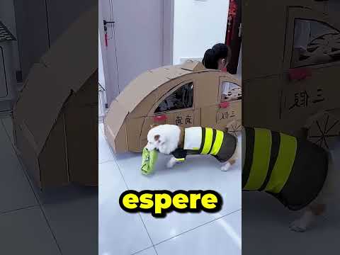 Minha esposa não me deixa entrar no táxi com ela 😱😳