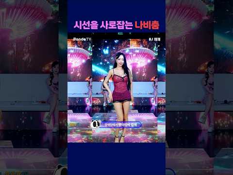 시선을 사로잡는 나비춤 #팬더티비 #엑셀방송 #여캠 #강남기획 #채채