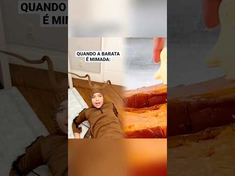 QUANDO A BARATA É MIMADA