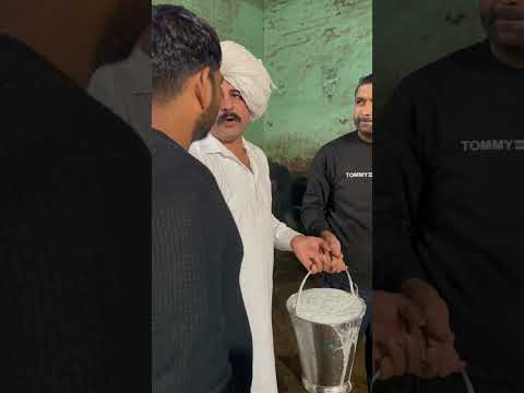 20 किलो दूध की भैंस बेची / Pawan Lijwana 9996612846