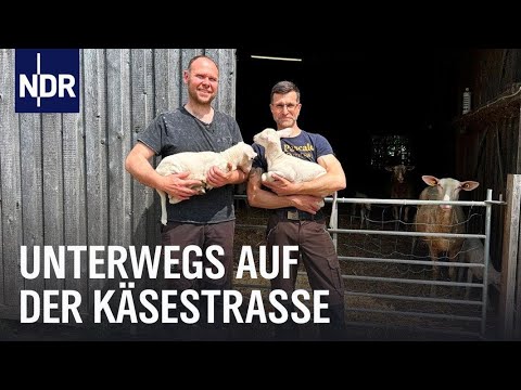 REUPLOAD: Unterwegs auf der Käsestraße in Mecklenburg-Vorpommern | die nordstory | NDR Doku