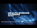 Healthcare Roles and Rehabilitation Processes