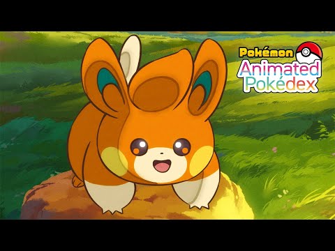 Pokemon TCG News