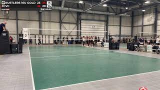 Rustlers 16UM Gold vs JCVC 
