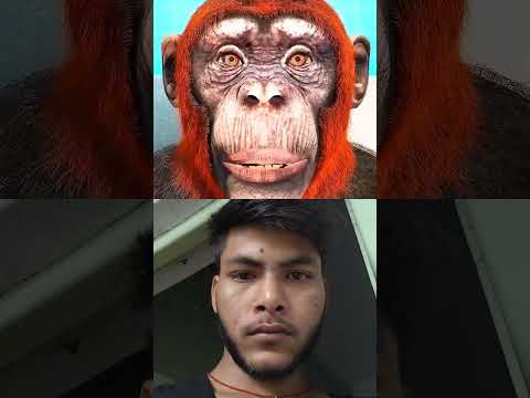 Scientists Transplant Monkey's Head😨 #reels #viral #trending #short #trendingshorts #video #viralvid