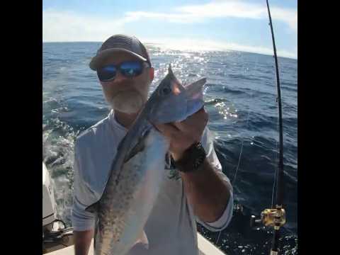 Planer trolling for kingfish made easy with knot for nothing fishing cottton candy video thumbnail
