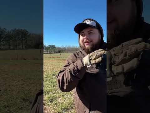 ATF brace ban
