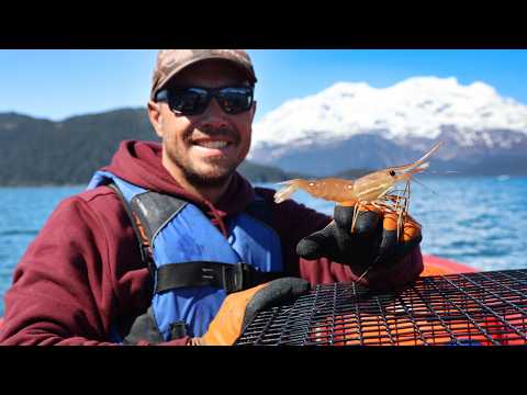 Shrimpin' Fishing & Coastal Camping in Alaska