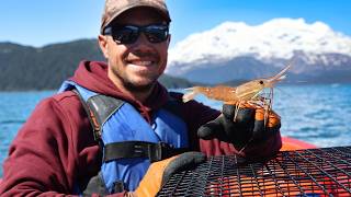 Shrimpin' Fishing & Coastal Camping in Alaska