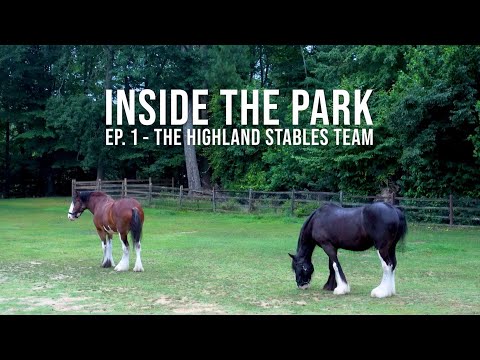 THE HIGHLAND STABLES TEAM AT BUSCH GARDENS ® | INSIDE THE PARK EP. 1
