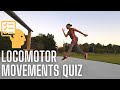Types of Movement and Locomotion