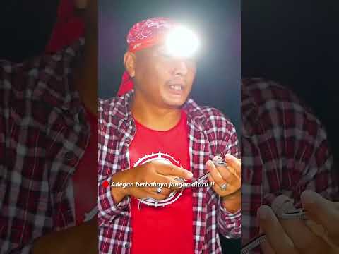 ULAR KECIL INI PUNYA MISTERI TERSENDIRI !!